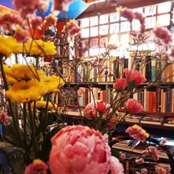 Walrus Books