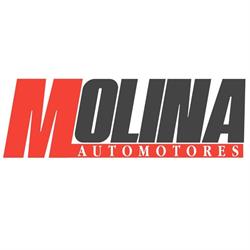 Molina Automotores