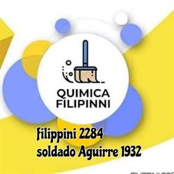 Quimica Filippini