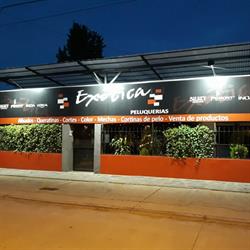 Exotica Peluqueria