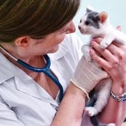 Avi Veterinaria