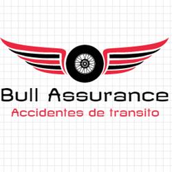 BULL ACCIDENTES