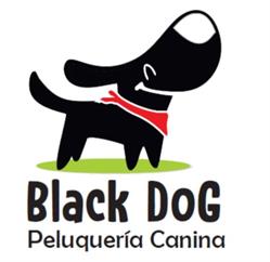 Black Dog