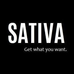 Sativa