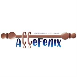 AcceFenix