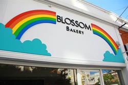 Blossom