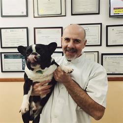 Veterinaria Hernan Rubio