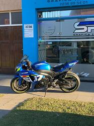grafica spg