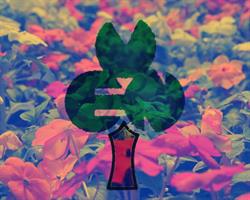 Viveros El Nogal - GROW SHOP
