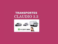 Miniflete Claudio 3.3