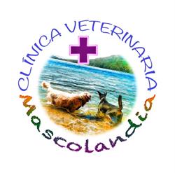 Veterinaria Mascolandia