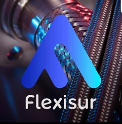 Flexi Sur Rosario