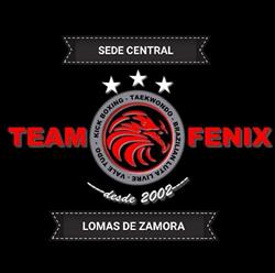 Team Fenix Artes Marciales - Sede Central