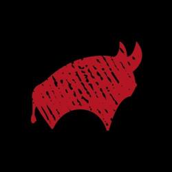 Torito