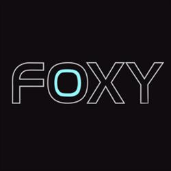 Foxy Hair Studio