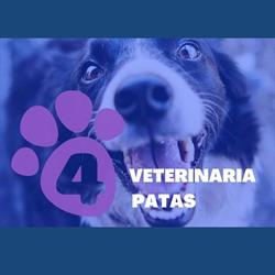 4 Patas Veterinaria