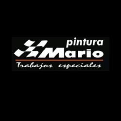 Pintura Mario Trabajos Especiales