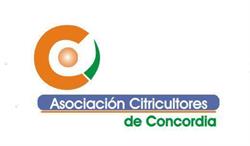 Asociacion Citricultores De Concordia