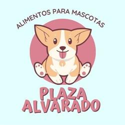 Plaza Alvarado