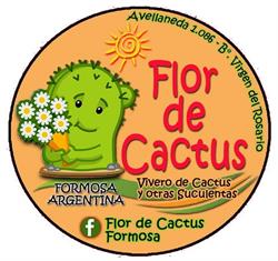 Flor de Cactus Formosa