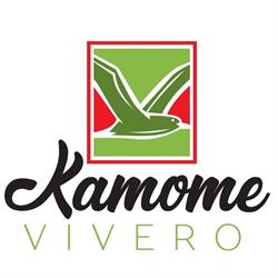 Vivero Kamome