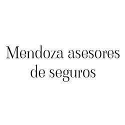 Mendoza asesores de seguros