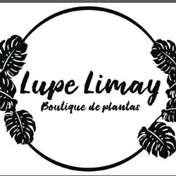 Lupe Limay
