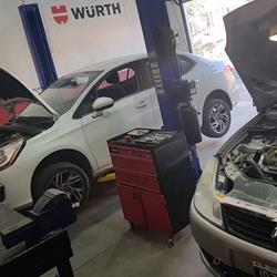 BotturiPerformance