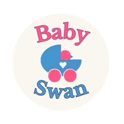 Baby Swan