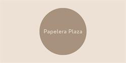 Papelera Plaza Saavedra