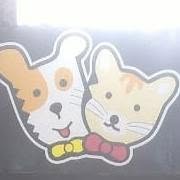 Como perros y gatos
