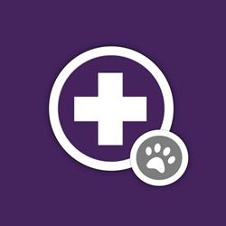 Clínica Veterinaria Campero