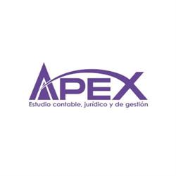 Estudio Apex