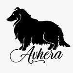 Avhera Peluqueria Canina&Pet Shop