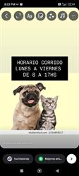 Veterinaria San Roque