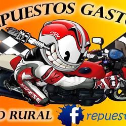 Repuestos Gaston