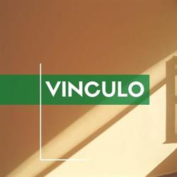 Vinculo Centro Comunitario De Salud Mental