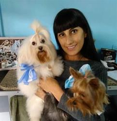 Peluquería Canina