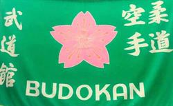 Instituto Budokan