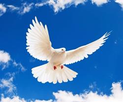 Iglesia Evangélica Pentecostal Cristo Vive y da la Vida Eterna