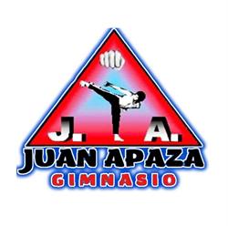 Juan Apaza Gimnasio Taekwon-Do & Fitness