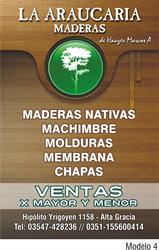 La araucaria Araucari Hauzer