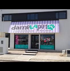 Damelapata Encipo