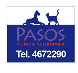 Pasos Clinica Veterinaria