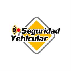 Seguridad Vehicular