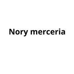 Nory merceria