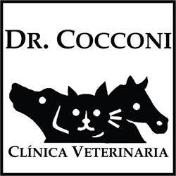 Dr Cocconi