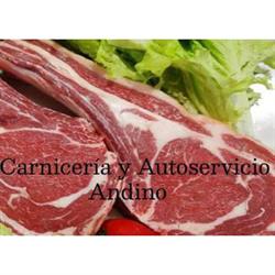 Carnicería y Autoservicio Andino