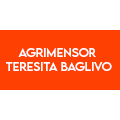 Agrimensora Teresita Baglivo