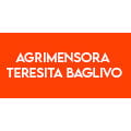Agrimensora Teresita Baglivo